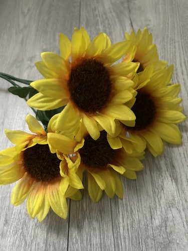 Cespugli girasole giallo - cespugli,