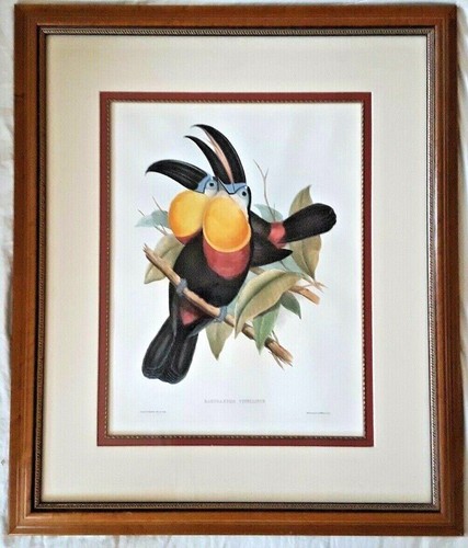 Gould richter litografia - gould, &
