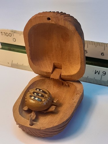 Tartaruga mini contenitore - tartaruga, in