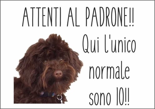 Cartello segnaletico lagotto - -,