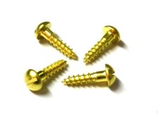 100 pezzi MINI viti per legno