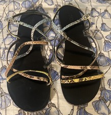 Studio Pollini 39.5 Colorful