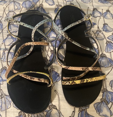 Studio pollini colorful - 39.5,