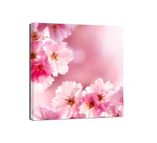 Canvashop Quadri moderni