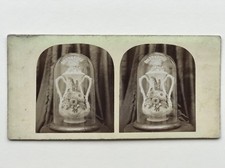 Natura Morta Still Life Vaso