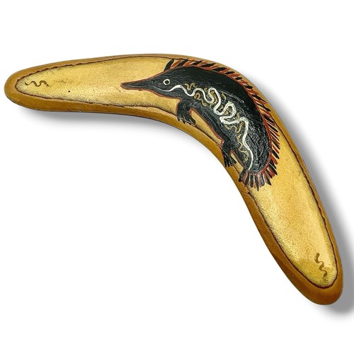 Echidna australiana legno - australiana, in