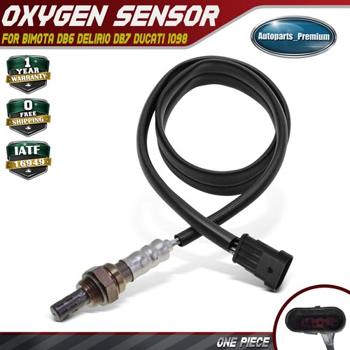 Oxygen sensor for bimota - oxygen,