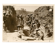 Regio Esercito Genio AOI