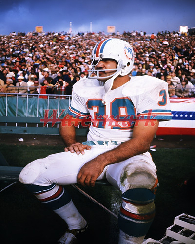 Nfl miami dolphins larry - miami,