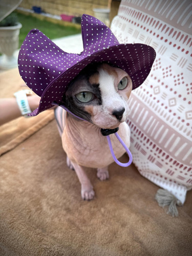 Cappello sole estivo sphynx - cappello,