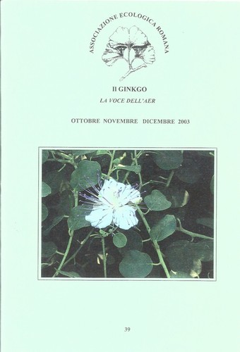 Ginkgo voce dell aer - il, dell'aer