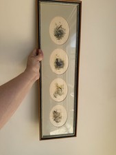 La Grolla Framed 4 Birds