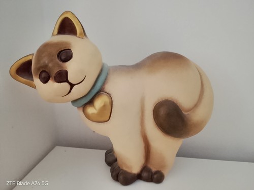 Raro gatto siamese thun - raro,