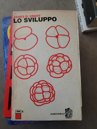 Libro sviluppo james ebert - sviluppo,