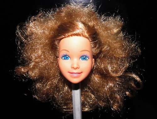 Testa barbie family heart - barbie,