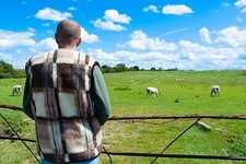 Scaldacorpo Unisex Gilet