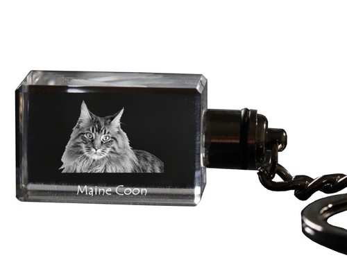 Maine coon orologio - maine,