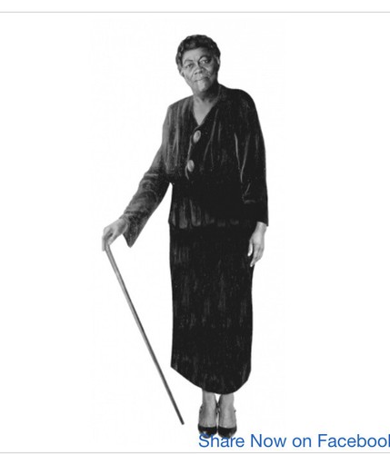 Mary mcleod bethune attivista - bethune,