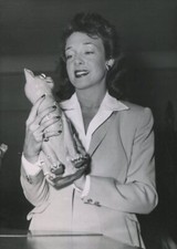 Micheline Presle Fotografia