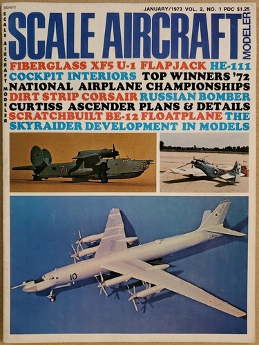 Scale aircraft modeler - scale,