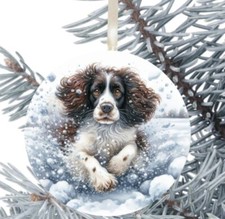 Springer Spaniel Palla da
