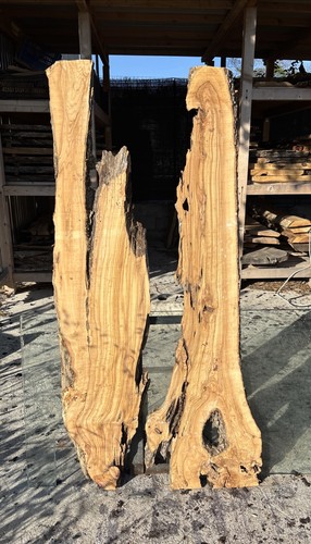 Coppia tavole legno di - di,