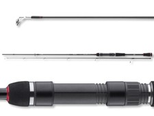 DAIWA Ballistic X Spin, 2