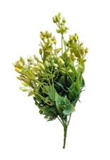 Eucalipto colore giallo