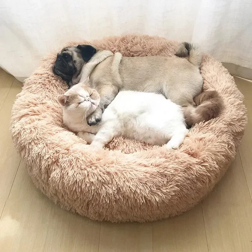 Letto cuccia divano per gatti - divano,