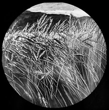 ANTIQUE Magic Lantern Slide A