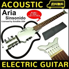 Chitarra elettrica acustica