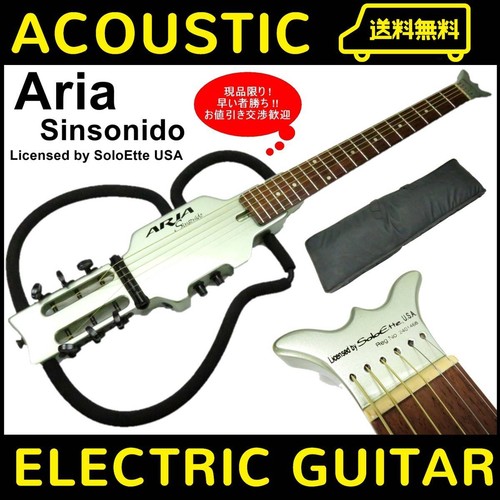 Chitarra elettrica acustica