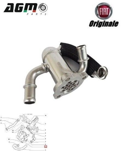 Valvola egr radiatore scarico - egr,