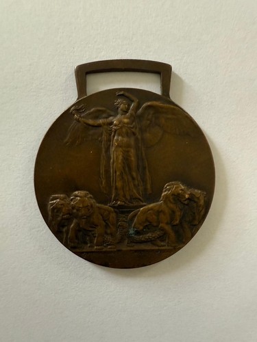 Italia medaglia - italia,