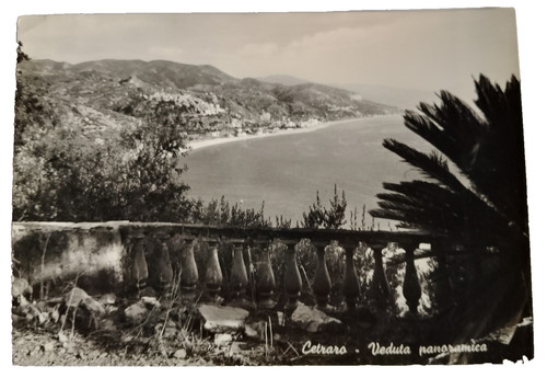 Cartolina n lucida - cartolina, b/n