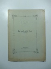 Ciavatta la scuola - ciavatta,,