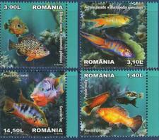 Romania 2012 Pesce Tropicale Ciclidi d'acqua dolce Molly Paradise Sunfish 4v MNH