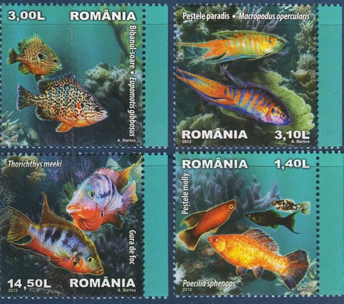 Romania 2012 tropico pesci - tropico,