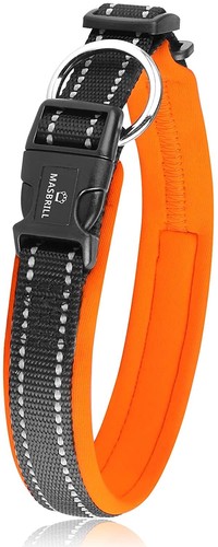 Collare cane arancione - collare,