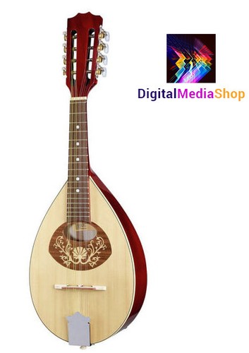 Mandolino portoghese con - ii,