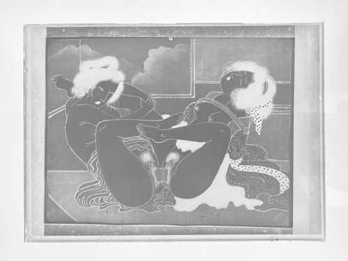 Glass negatives 5x7 - glass,