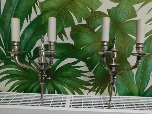 Splendida coppia applique - splendida, di
