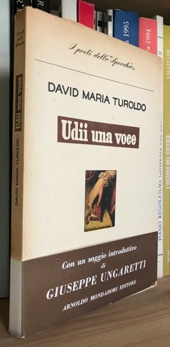 David maria turoldo udii una - david,