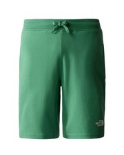 Pantaloncini shorts uomo the - pantaloncini,