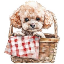 2 adesivi barboncino nano