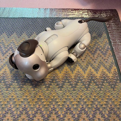 Robot compagnia per cani - robot, da