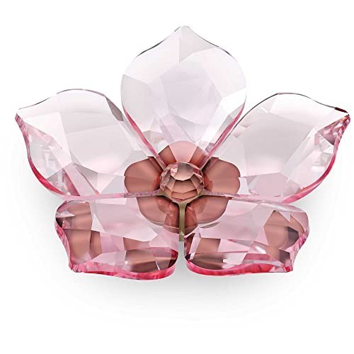 Swarovski garden tales magnete - garden,