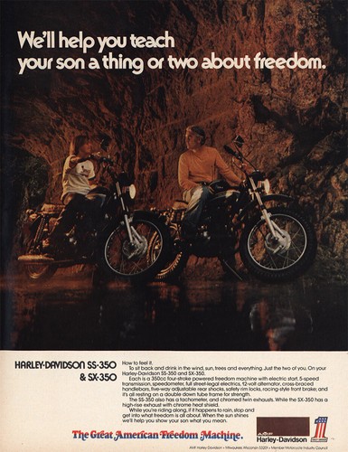 Harley davidson 350 - harley,