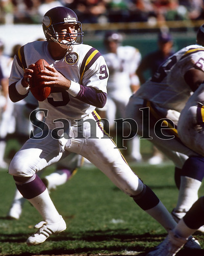 Minnesota vikings tommy - minnesota,