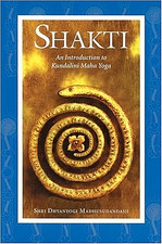 Shakti: An Introduction to